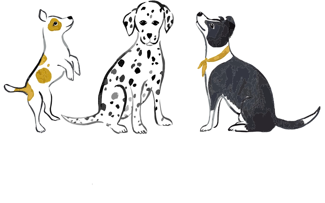 Crazy Kind Calm