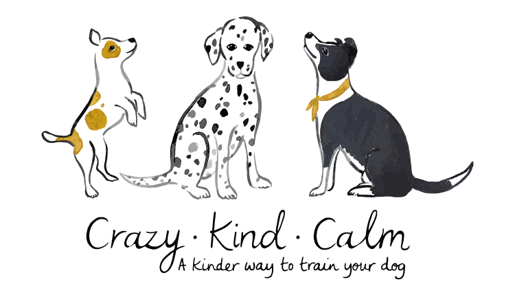 Crazy Kind Calm